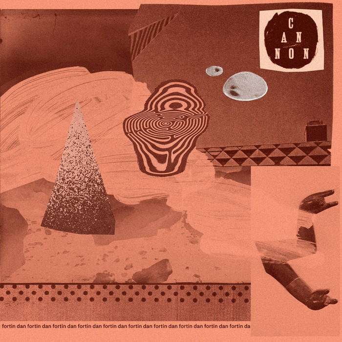 Image for Dan Fortin- Cannon // Elastic Recordings