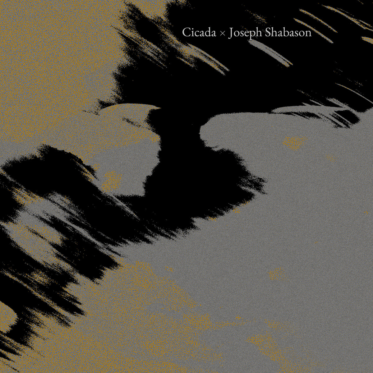 Image for Where the Glacier Once Passed (Joseph Shabason Remix)